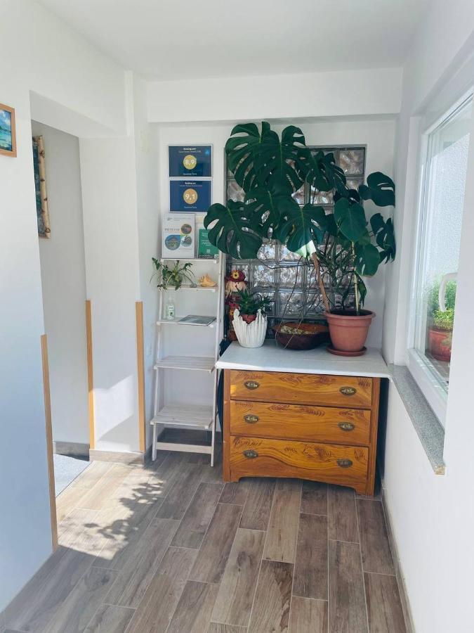 Apartma Pavla Spodnje Gorje Εξωτερικό φωτογραφία